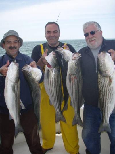 Gus and the Stripers