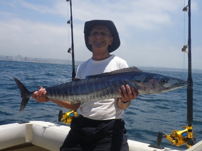 Nice Durban Wahoo
