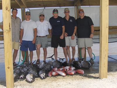 Someone pick up a fish