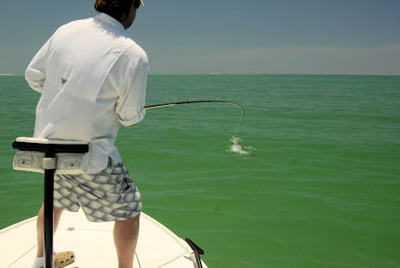 Hal Lutz Sarasota fly tarpon