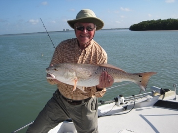 31-inch bull redfish on shrimp, released