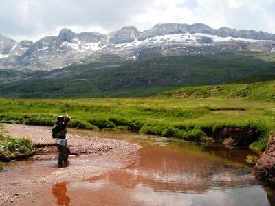 High Mountain Spring Creek