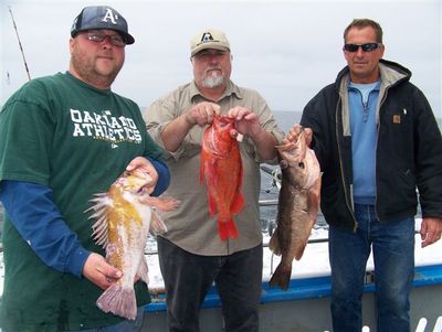 Some more nice bottom fish