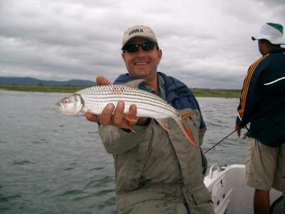 Tiger caught on the Surface