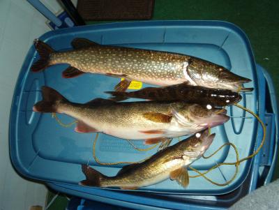 there's a 21, along with a 25 northern and a couple 13-14