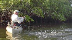 Jack Hartman of Sarasota battles a snook that he hooked along the mangroves in Joe Bay.