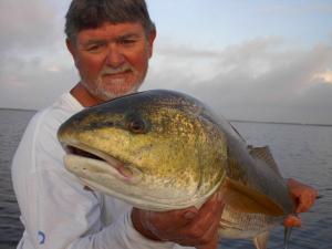 Pete Greenan and another bull red.