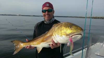 The Reds show up big in November