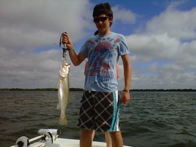 Seatrout