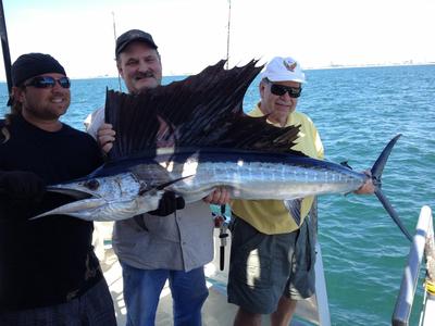 Nice sailfish caught on drift boat