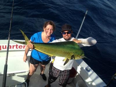 Nice dolphin caught sportfishing