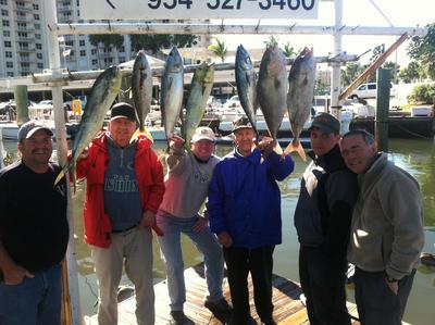 Nice assortment of bonitos, jacks and mahi-mahi caught sportfishing