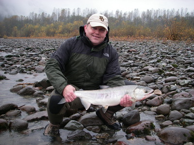 bright Chum salmon near Vancouver in November