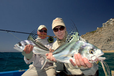 Two Great Baja Rooster Fish On A Fly