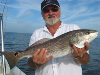 nice keeper redfish