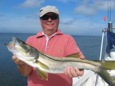 nice keeper snook