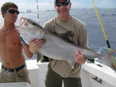 Amberjack