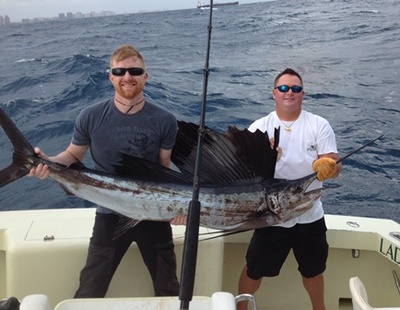 Sailfish
