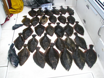 Netkeeper cockpit tiled with 30 Keeper Fluke.