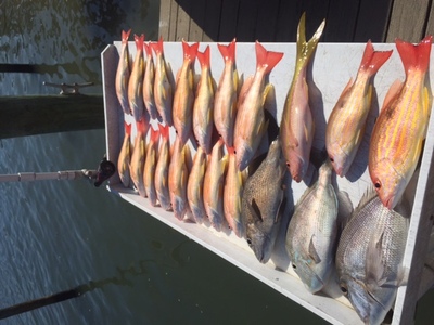 Jupiter Fishing Charters