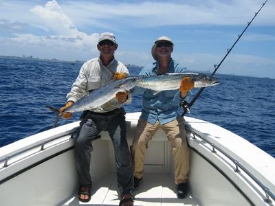 Typical summer kings