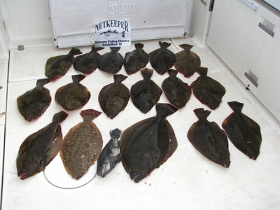 Netkeeper cockpit tiled with 17 Keeper Fluke.