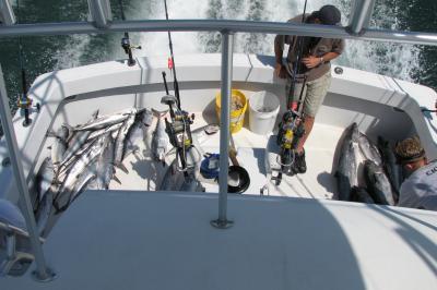 Kingfish on the Edge, First Place in Tournament