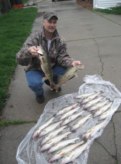 picture of walleye