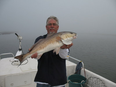 redfish