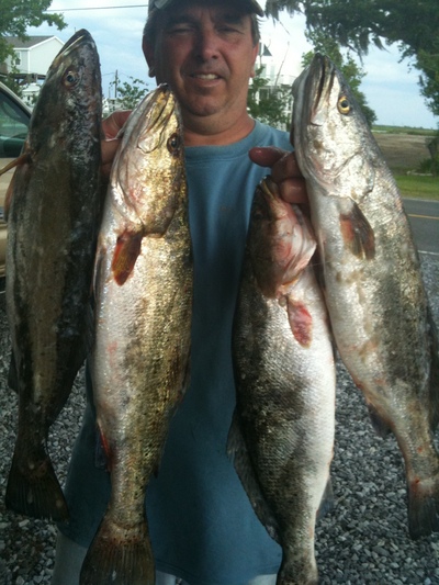 A few of todays finest