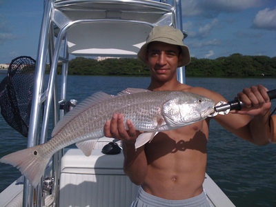32 inch Redfish