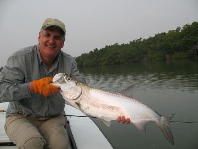 Baby Tarpon have been very active.