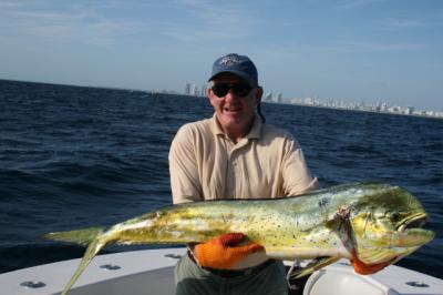 Dolphin Mahi Mahi