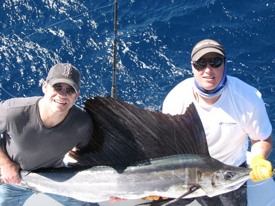 Sailfish caught yesterday and released