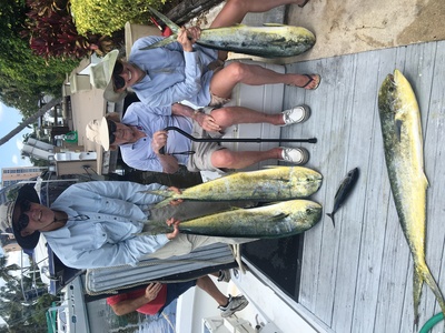 Nice dolphin fishing catch in Lauderdale