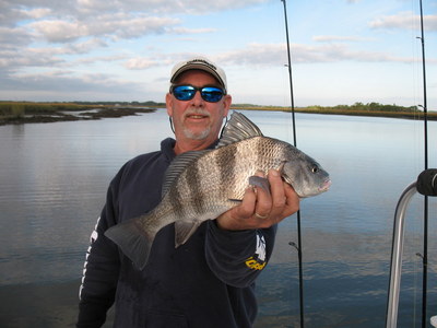 black drum