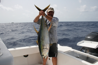 Yellowfin Tuna in the Bahamas