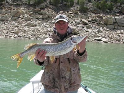 Tim F. with another pike.