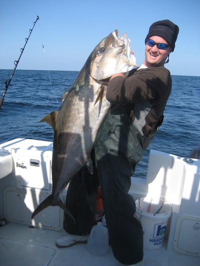 Big Venice Amberjack