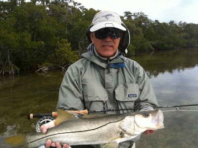 Nice Snook!