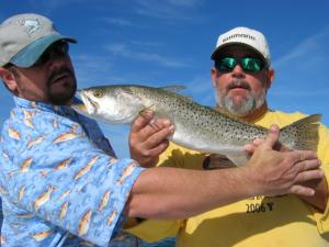 Sea Trout as long as your arm