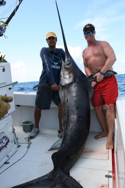 Big Swordfish Caught In The Daytime
