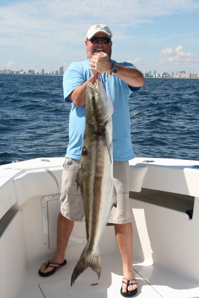 Cobia