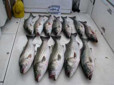NetKeeper 6 man Striper Limit on Deck