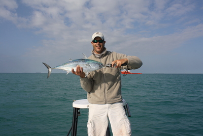 key west bonito