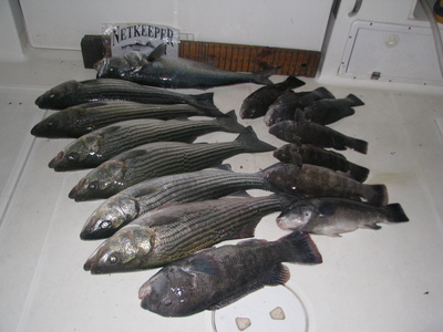 NETKEEPER Striper & Tog deck shot