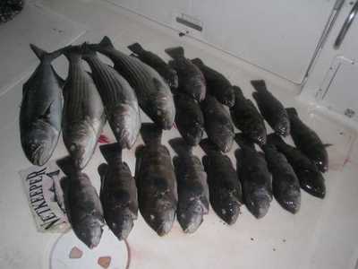 NETKEEPER - Rick Acevedo catch deck shot