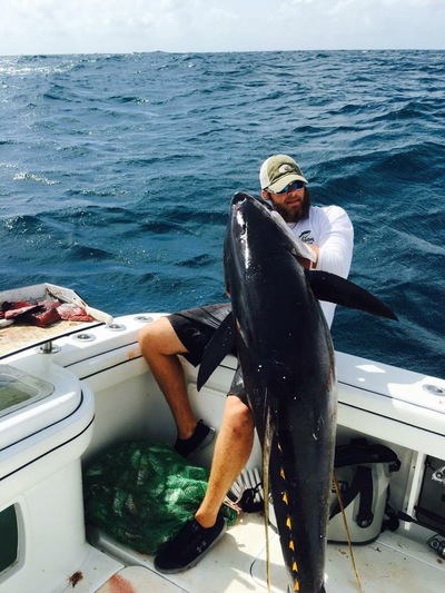 215 Pound Yelllowfin Tuna