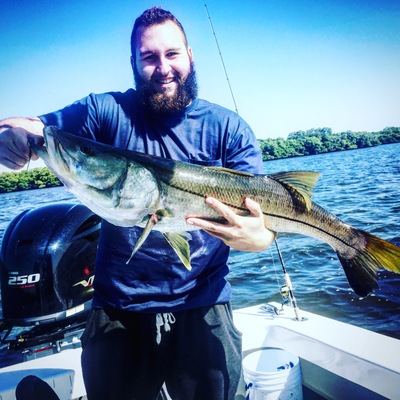 Anna Maria Island Snook