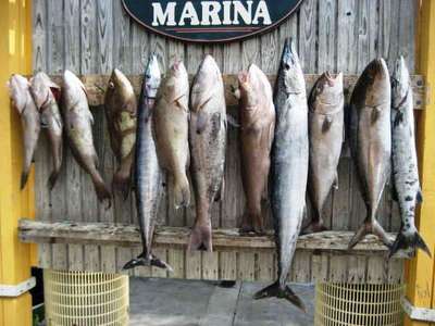 The Bragging Board does not  lie, Nice overnight catch!